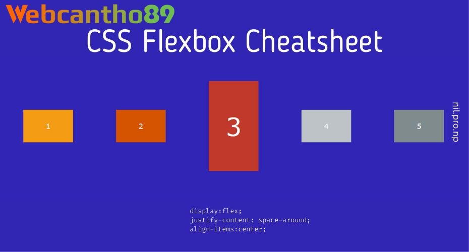 CSS Flexbox Là Gì? Hướng Dẫn Chi Tiết Cho NewBie
